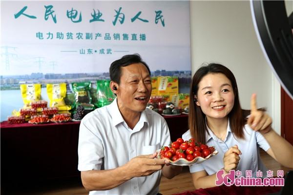 问题,国网成武县供电公司举办了此次"电力助贫农副产品销售直播"活动